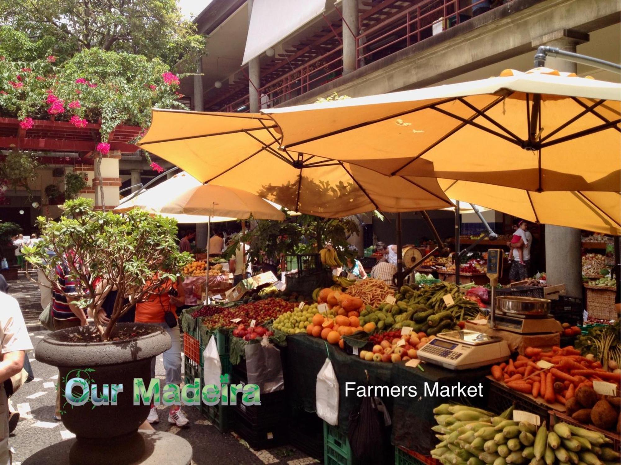 푼샬 Ourmadeira - Heart Of Old Town I 아파트 외부 사진