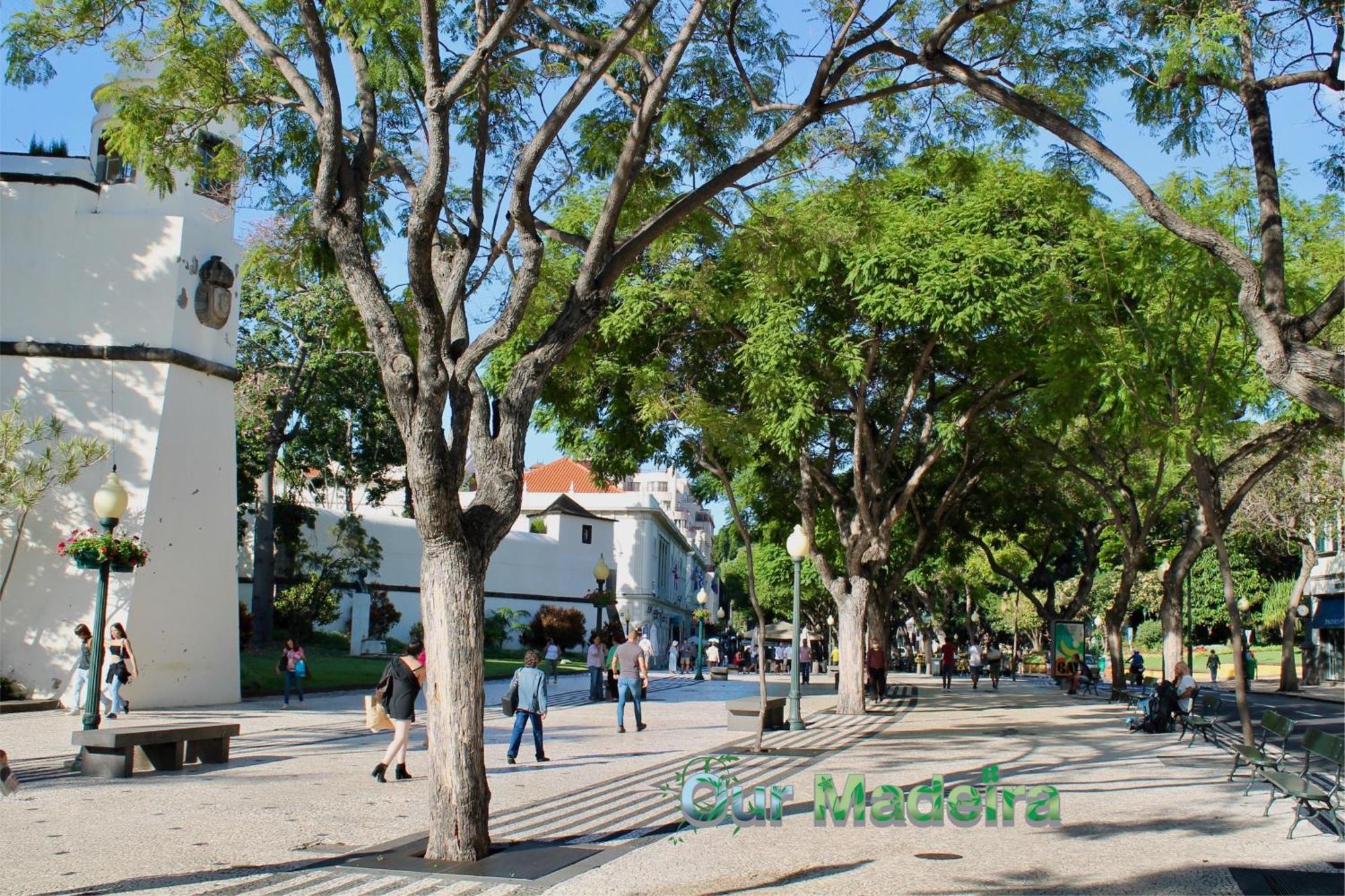 푼샬 Ourmadeira - Heart Of Old Town I 아파트 외부 사진