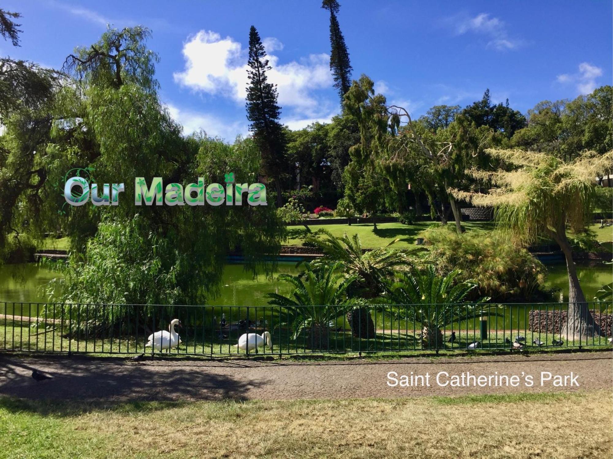 푼샬 Ourmadeira - Heart Of Old Town I 아파트 외부 사진